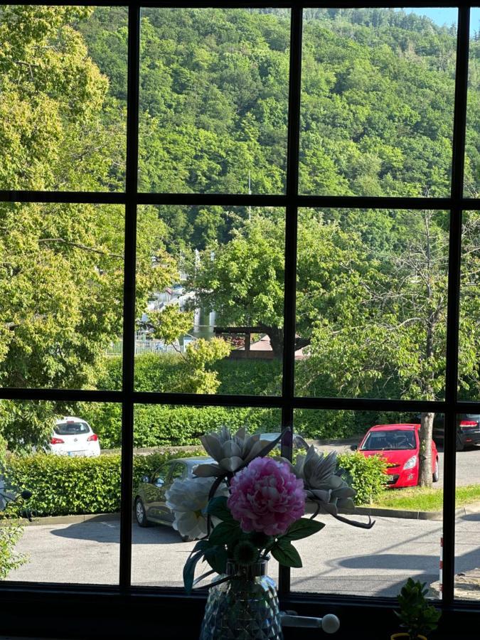 Green Seeblick Hotel Am See Obermaubach Экстерьер фото