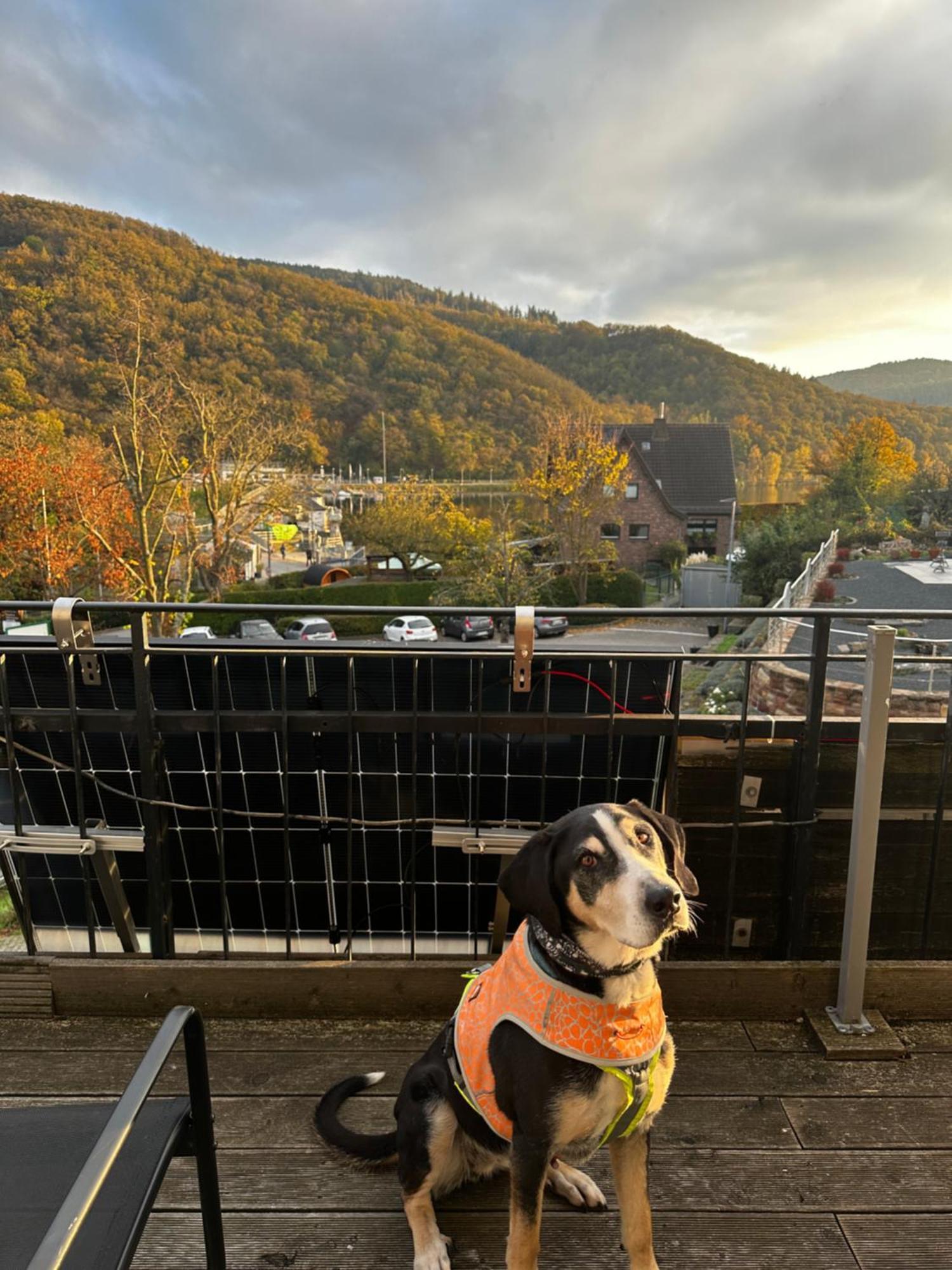 Green Seeblick Hotel Am See Obermaubach Экстерьер фото